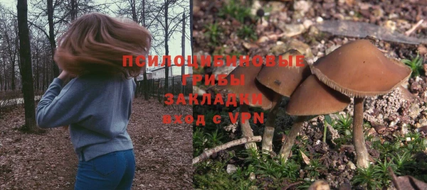 метадон Каменск-Шахтинский
