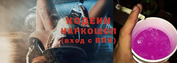 метадон Богданович