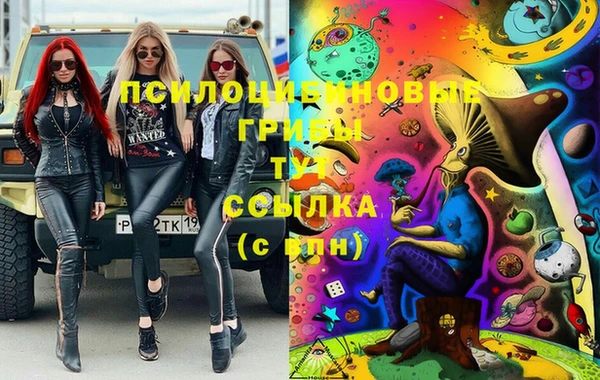 прущая мука Богородицк