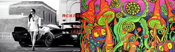прущая мука Богородицк