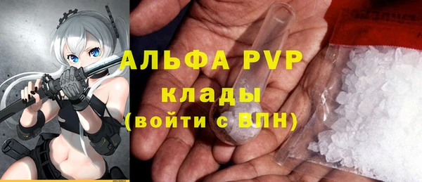 метадон Богданович