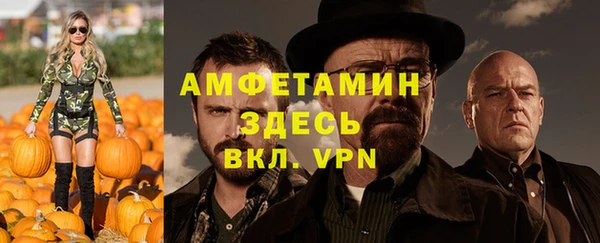 метадон Богданович