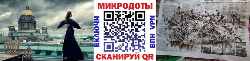 Псилоцибиновые грибы Psilocybe  ссылка на мегу ONION  Котлас 
