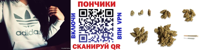Шишки марихуана Bruce Banner  Котлас 